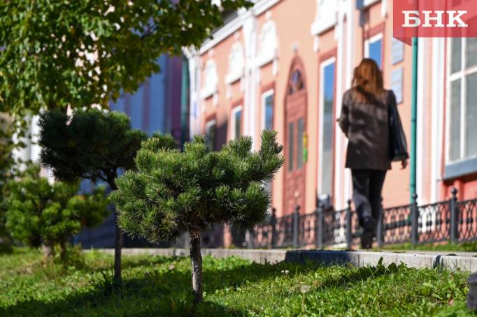 Синоптики пообещали еще одну теплую неделю в Коми